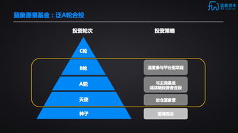 藍象資本聯合芥末堆成立藍象愿景基金，聚焦A輪實業投資